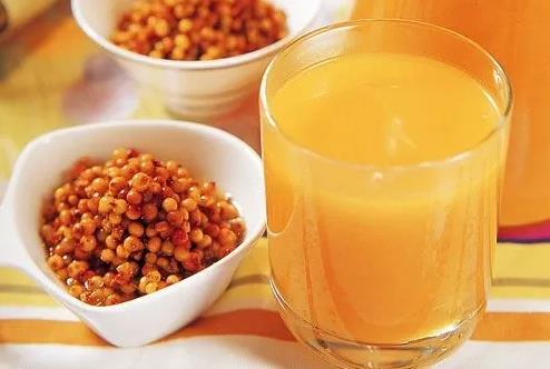 江蘇利臻機械沙棘汁加工生產(chǎn)線